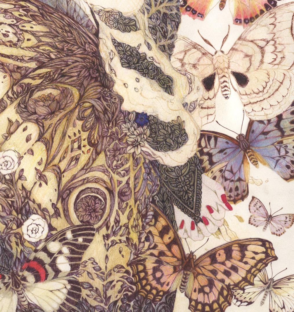 蝶の樹　Butterfly Tree #004