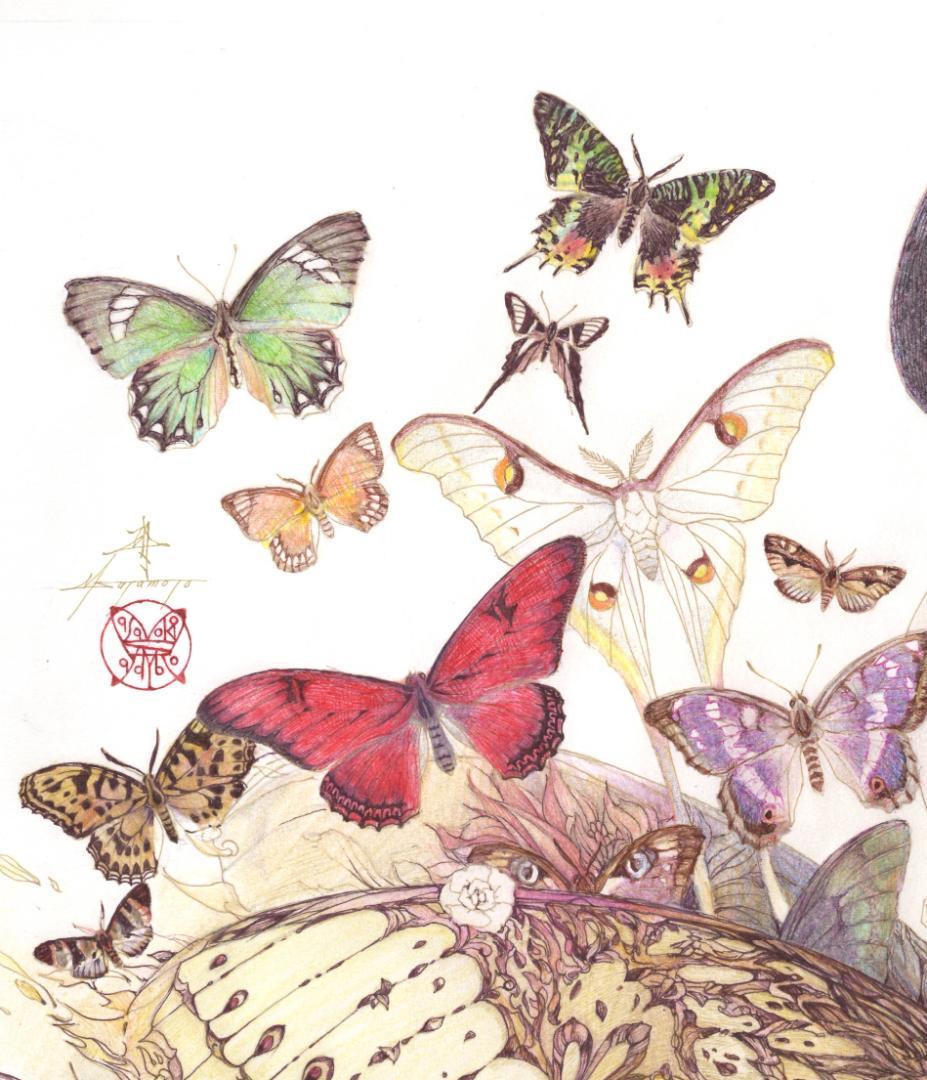 蝶の樹　Butterfly Tree #004