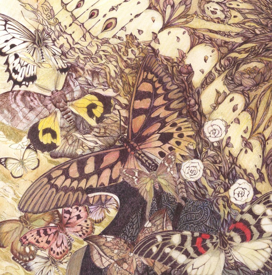 蝶の樹　Butterfly Tree #004