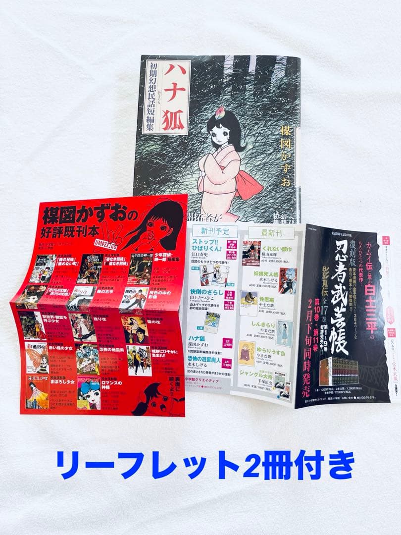 非常に良い　楳図かずお　ハナ狐