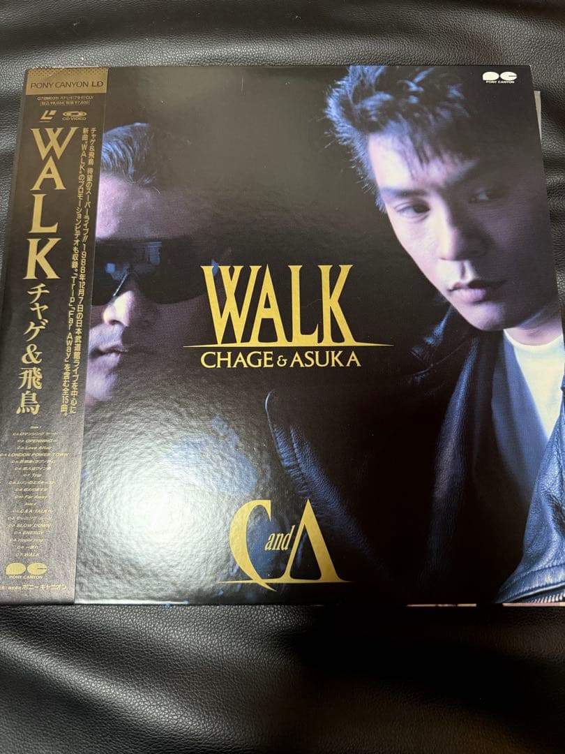 CHAGE and ASKA レーザーディスク10枚セット