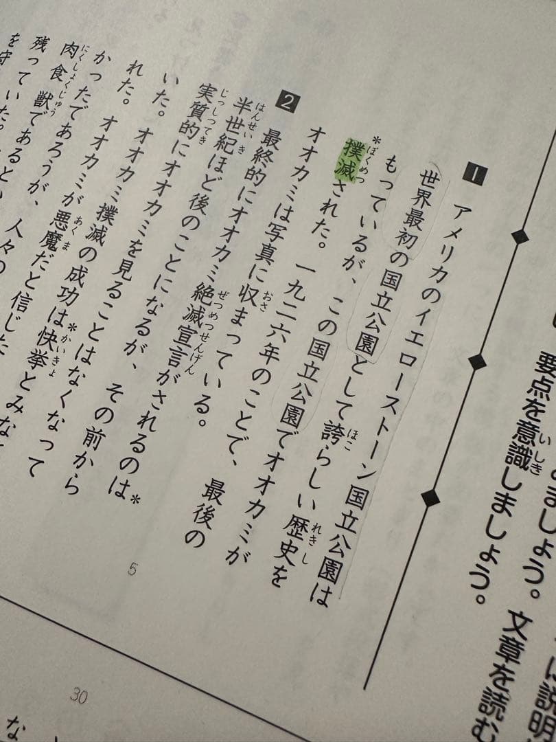 2026年度前期　日能研５年生 最新テキスト 栄冠への道 セット