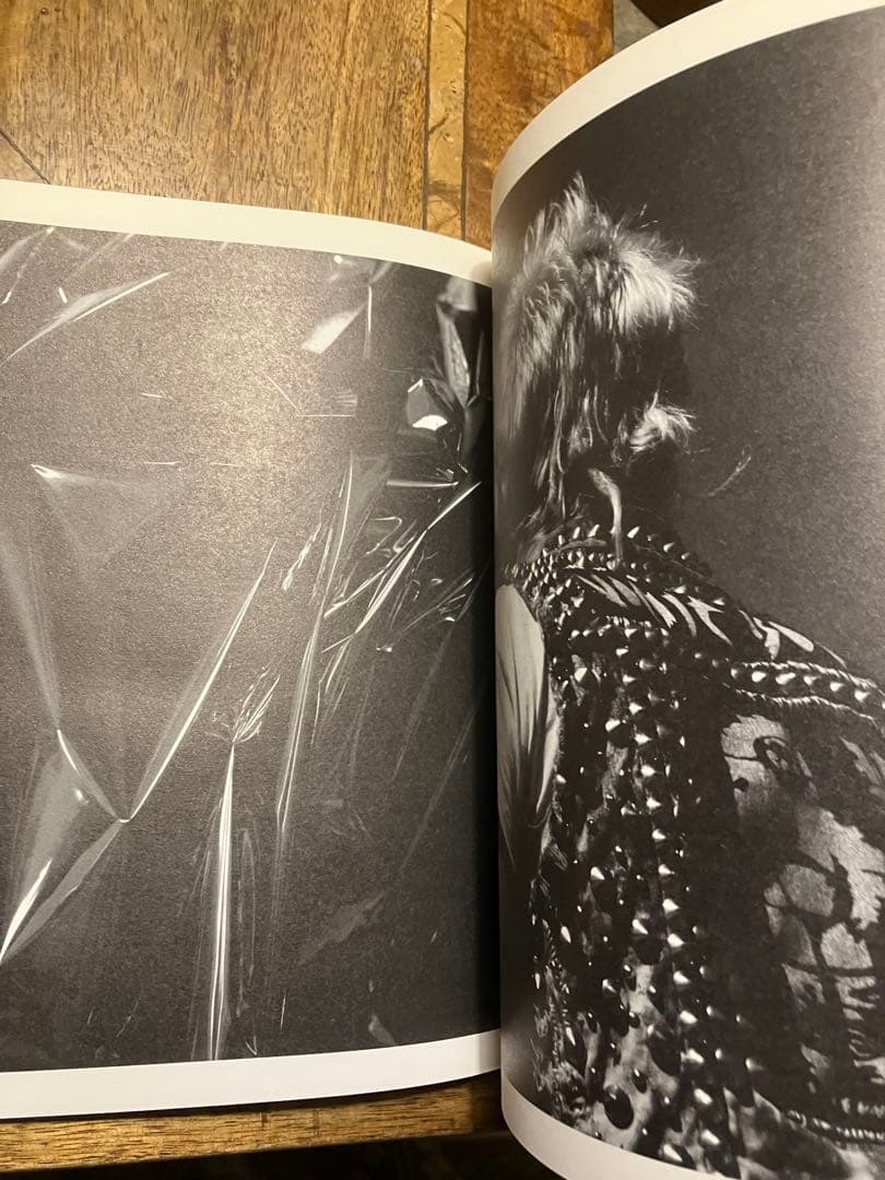 エディスリマン写真集HEDI SLIMANE ppaper Special 03