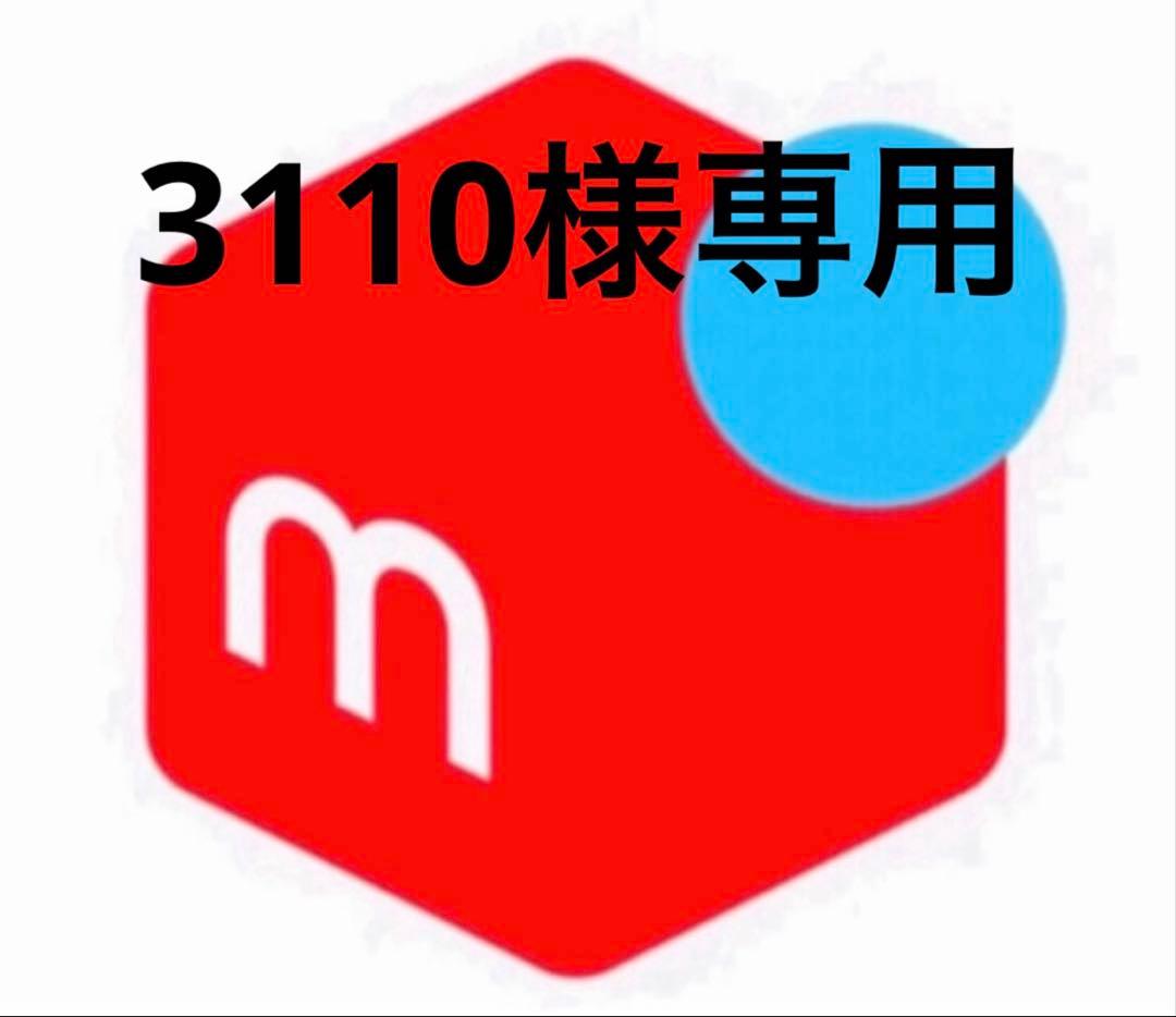 その他 3110