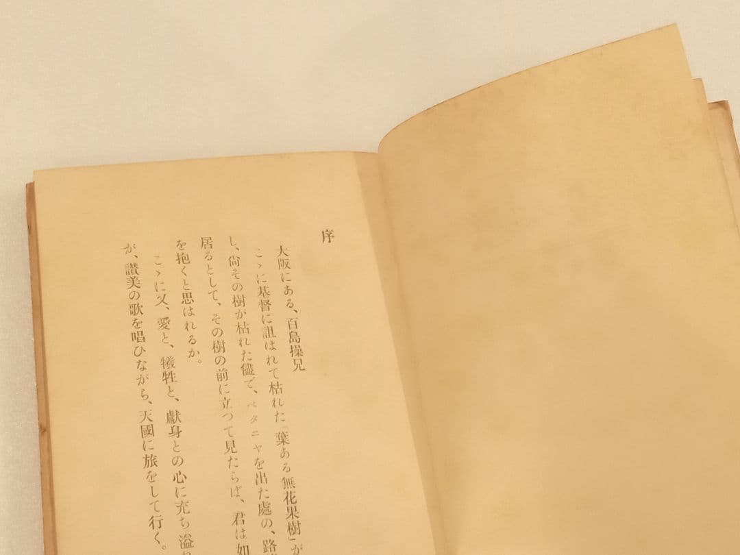 壁画　水野葉舟