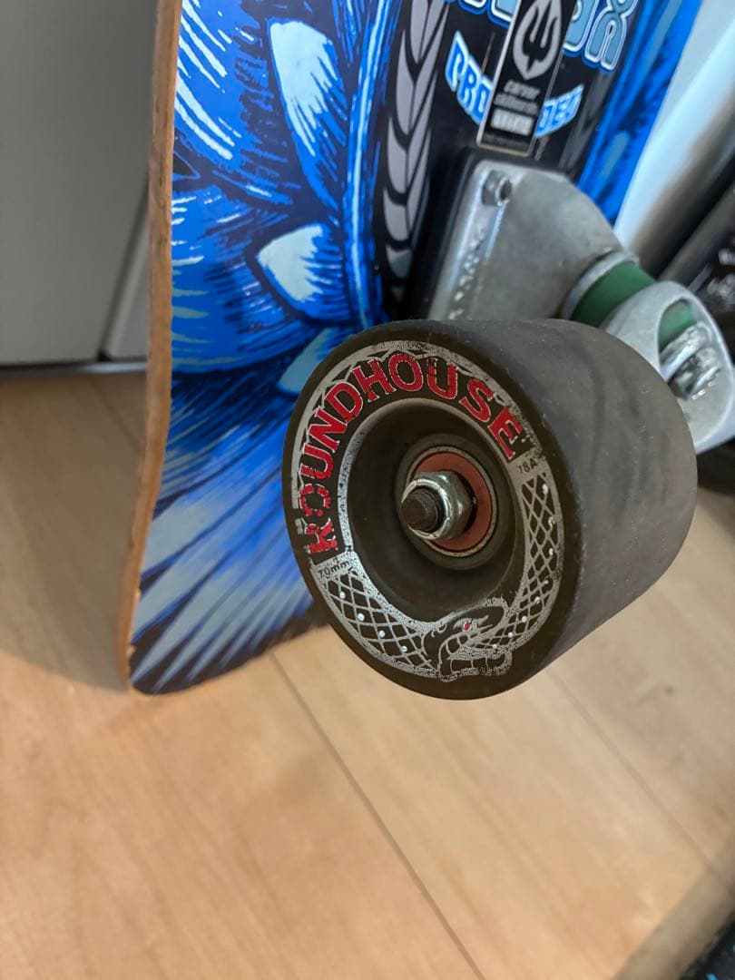 CARVER スケートボード 絶版モデル ティーラノックス