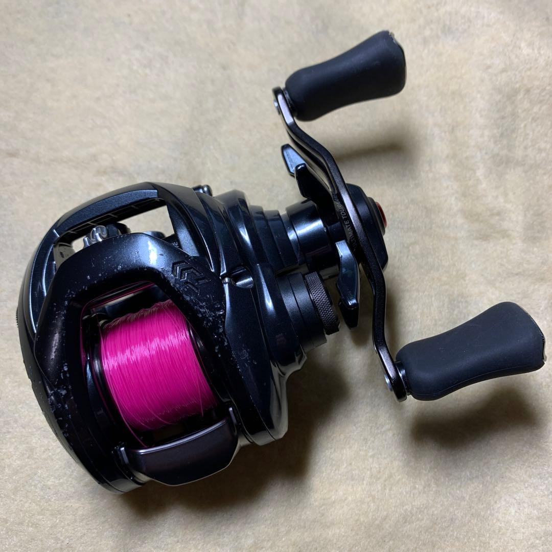 ダイワ(DAIWA) ベイトリール 20 TATULA SV TW タトゥーラ