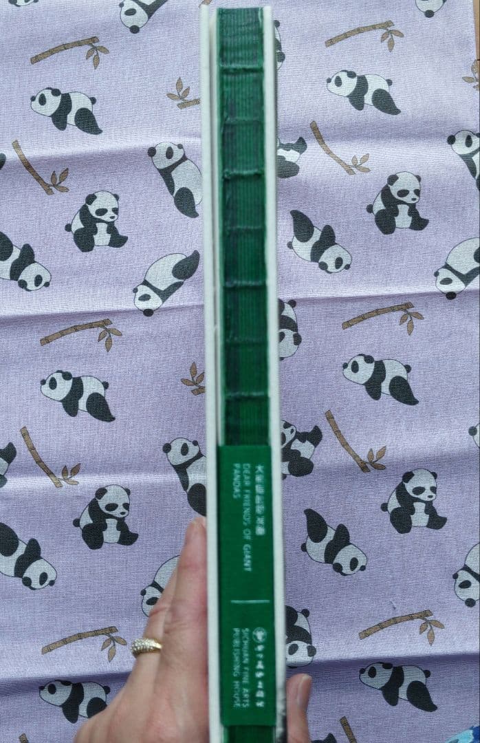 【レア品！新品・未使用品】和花ちゃん視点の限定品写真集「大熊猫的朋友圏」