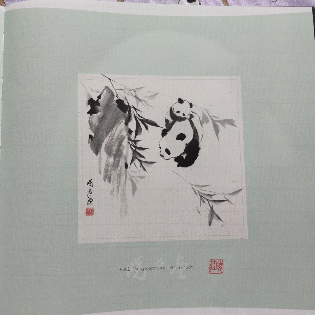 【レア品！新品・未使用品】和花ちゃん視点の限定品写真集「大熊猫的朋友圏」