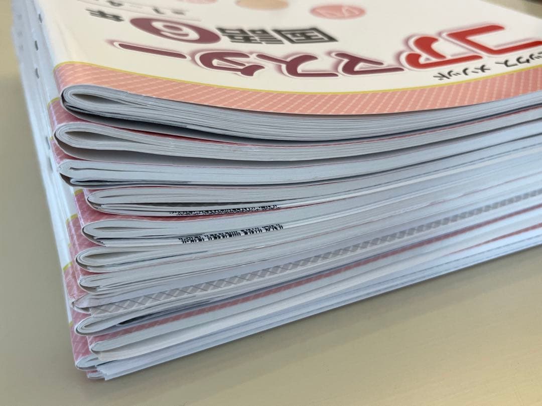 SAPIX コアマスター　6年　国語　12冊セット