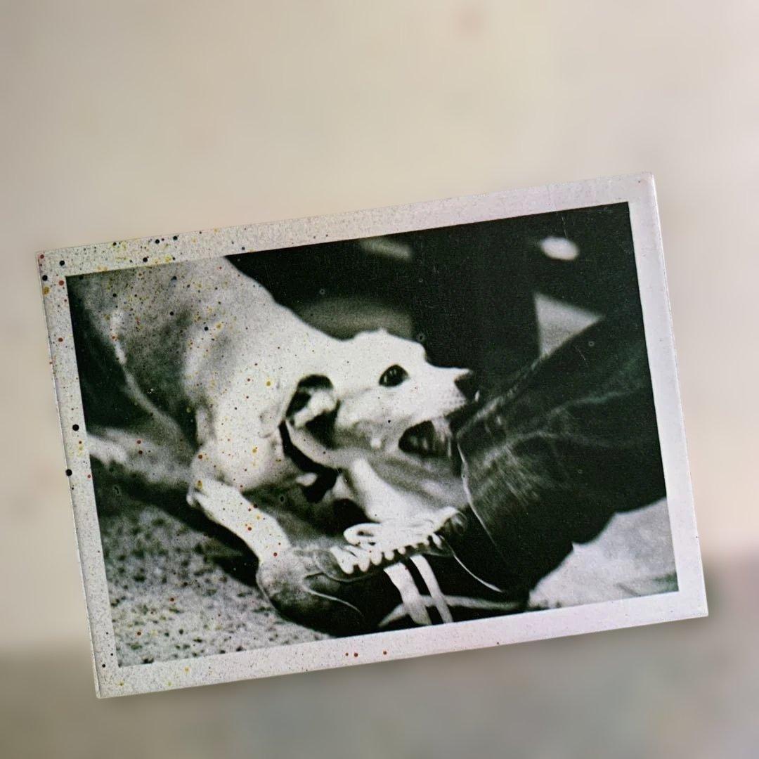 Fleetwood Mac / Tusk UK盤LP