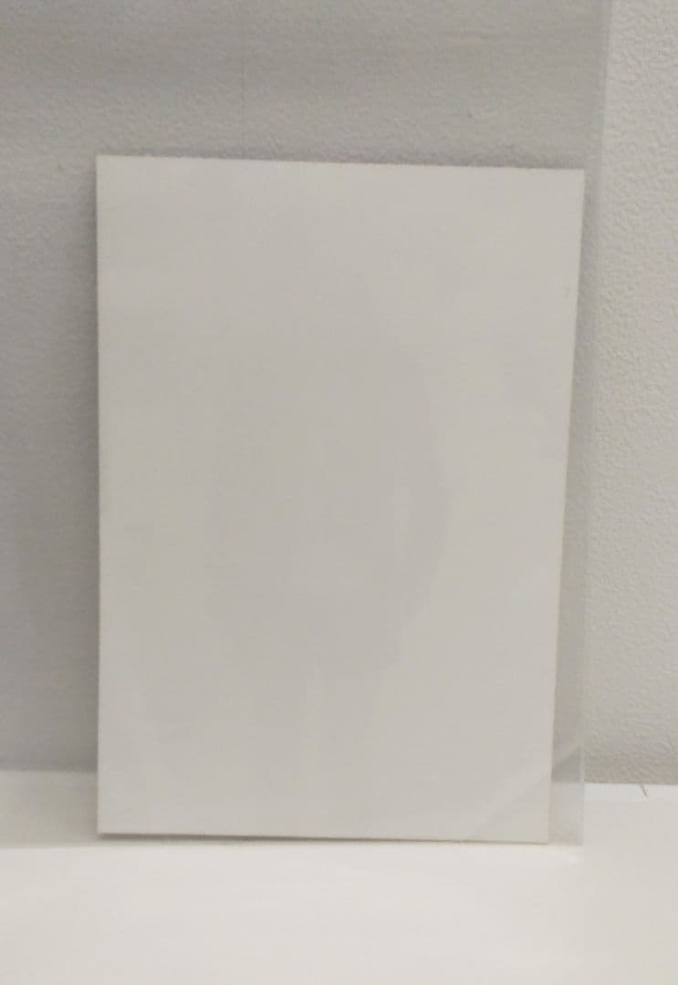 【新品/特典あり】戸田恵梨香イメージDVD「NOTE」＋購入特典写真