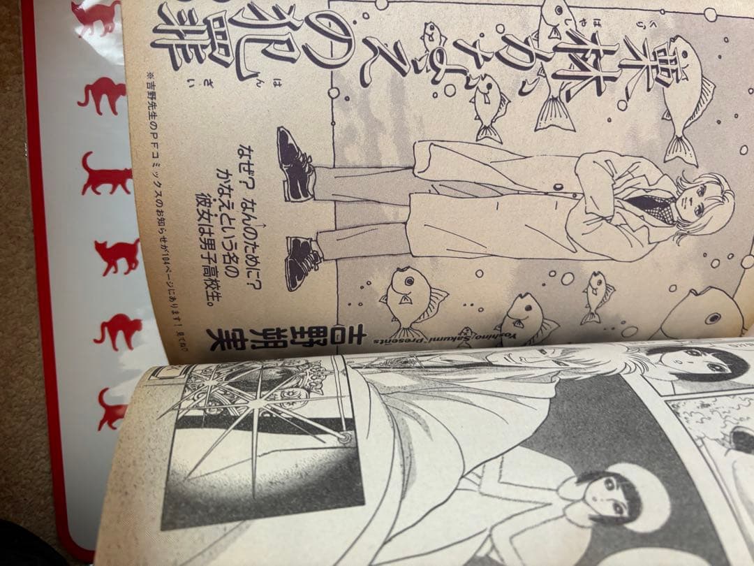 さいとうちほ　新連載 アナスタシア倶楽部