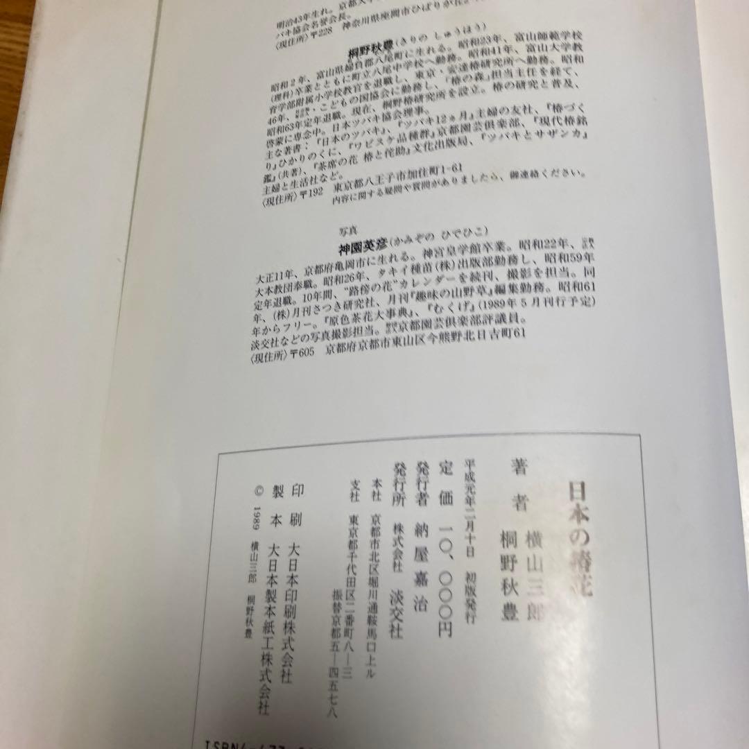 日本の椿花