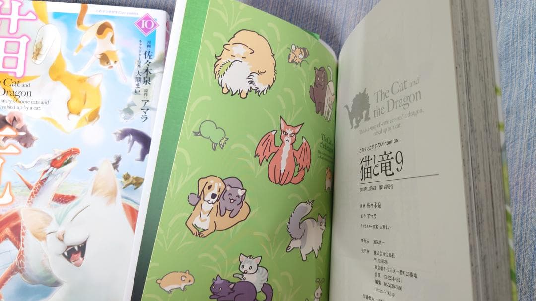 猫と竜　１〜１１巻 佐々木泉　アマラ