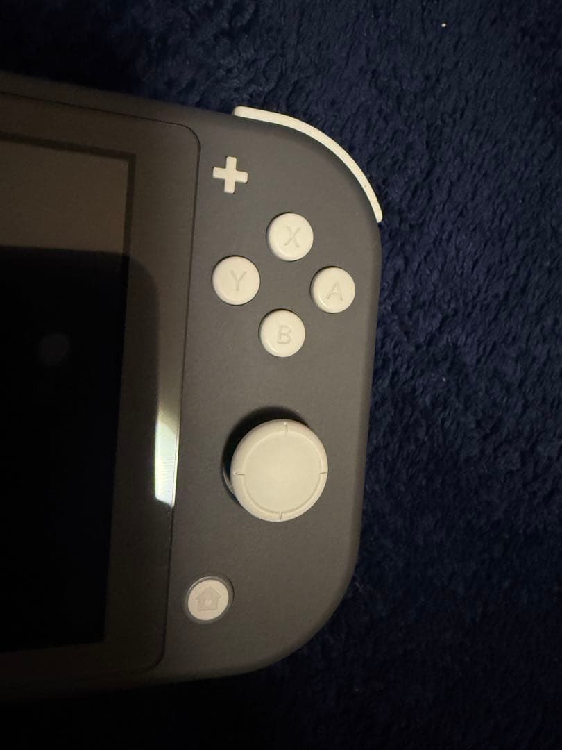 り*む様 Nintendo Switch Lite グレー 本体
