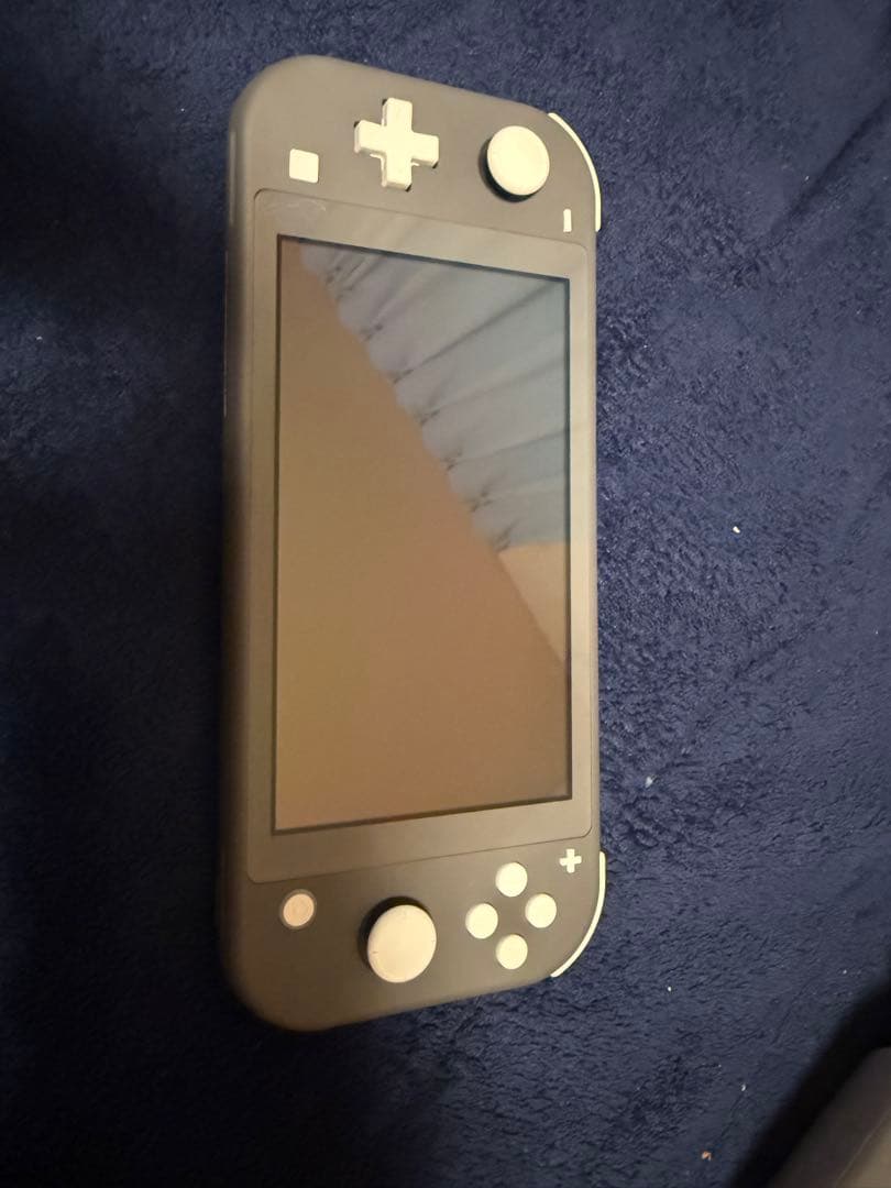り*む様 Nintendo Switch Lite グレー 本体