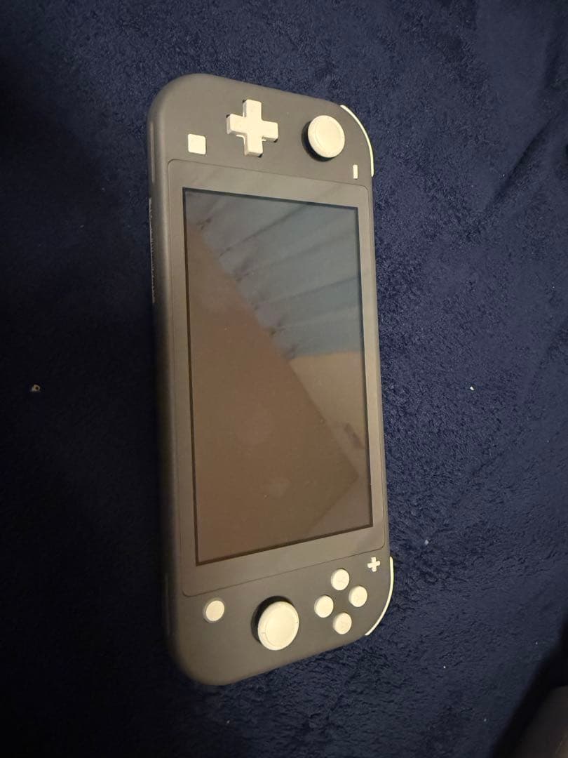 り*む様 Nintendo Switch Lite グレー 本体