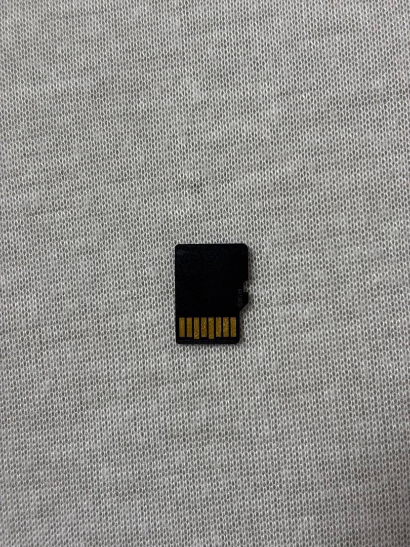 Nintendo Switch Lite どうぶつの森　ターコイズ 充電器付き
