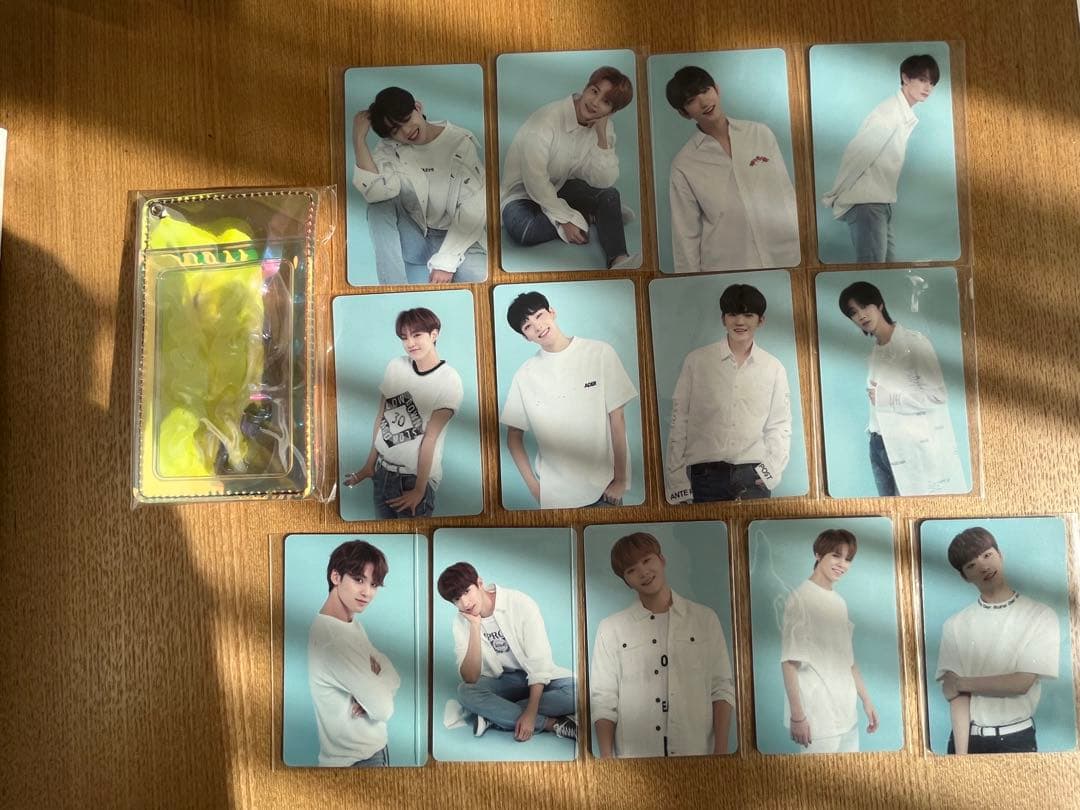 CARAT3期　SEVENTEEN