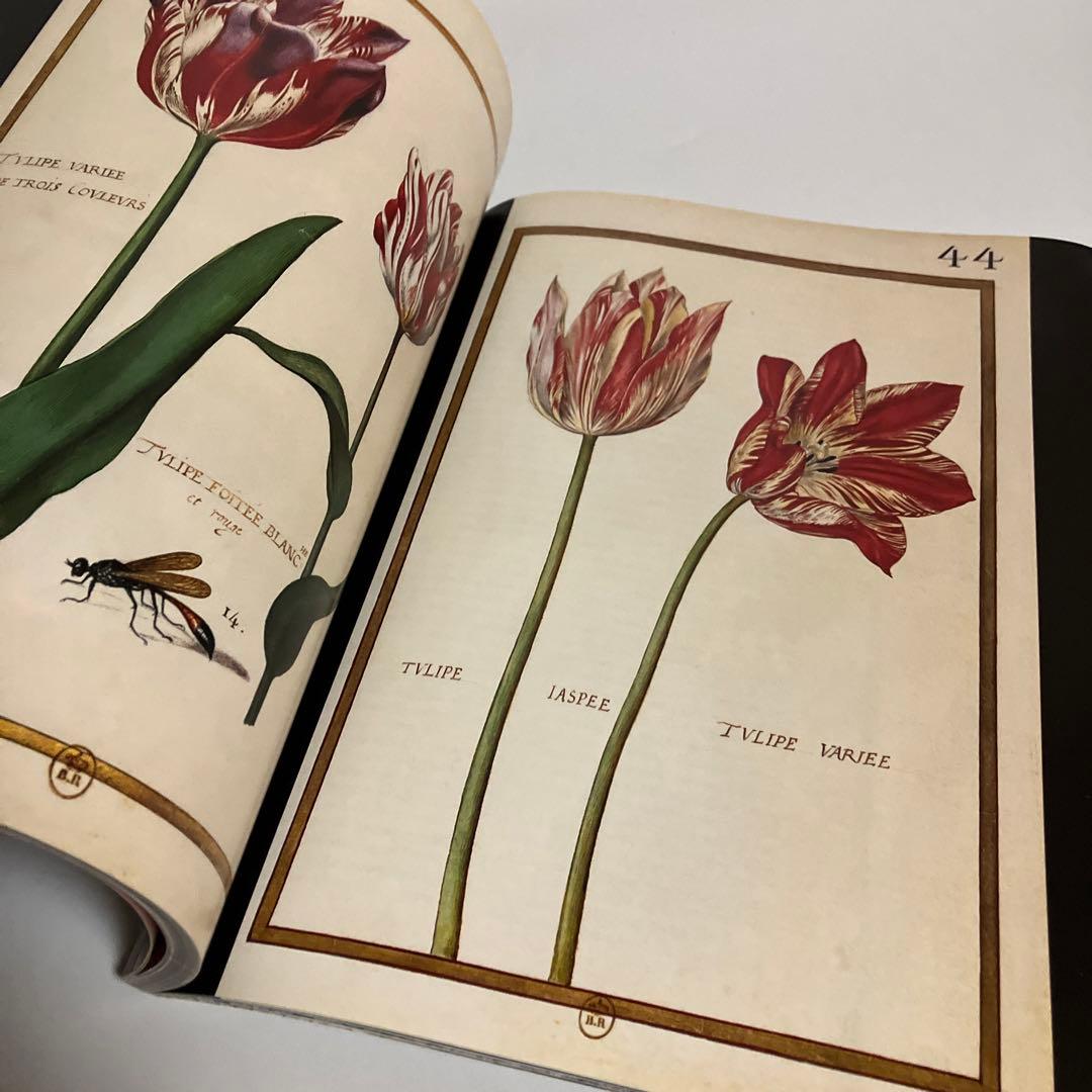 アート・デザイン・音楽 Franco Maria Ricci magazine No.95