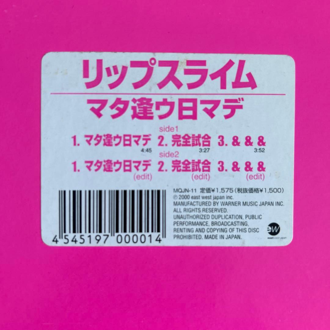 RIP SLYME リップスライム / マタ逢ウ日マデ レコード 美品
