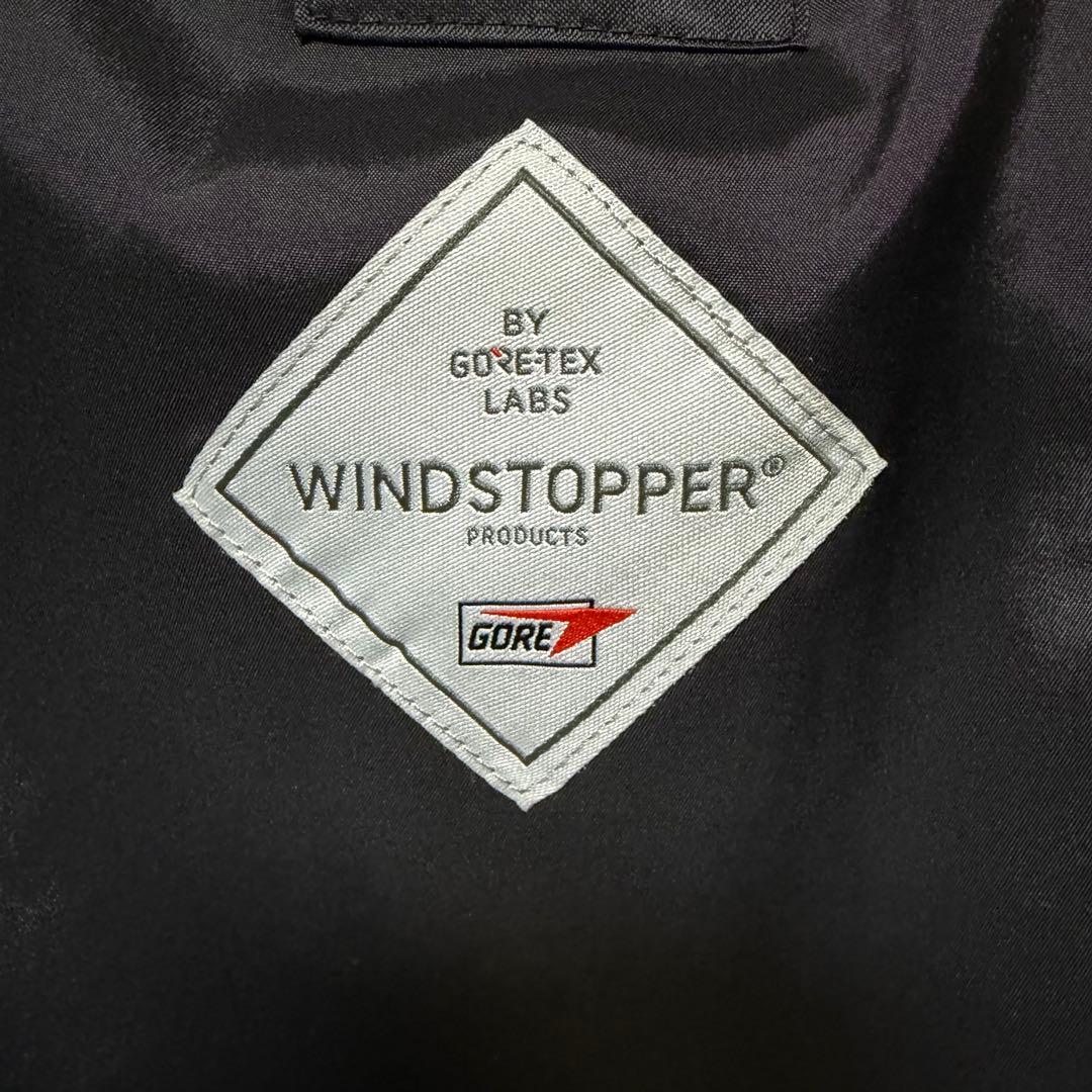 DAIWA PIER39 GORE-TEX WINDSTOPPER ダウンベスト