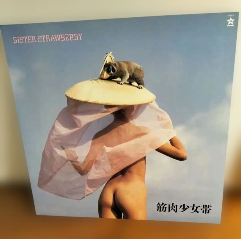 筋肉少女帯レコード『SISTER STRAWBERRY』