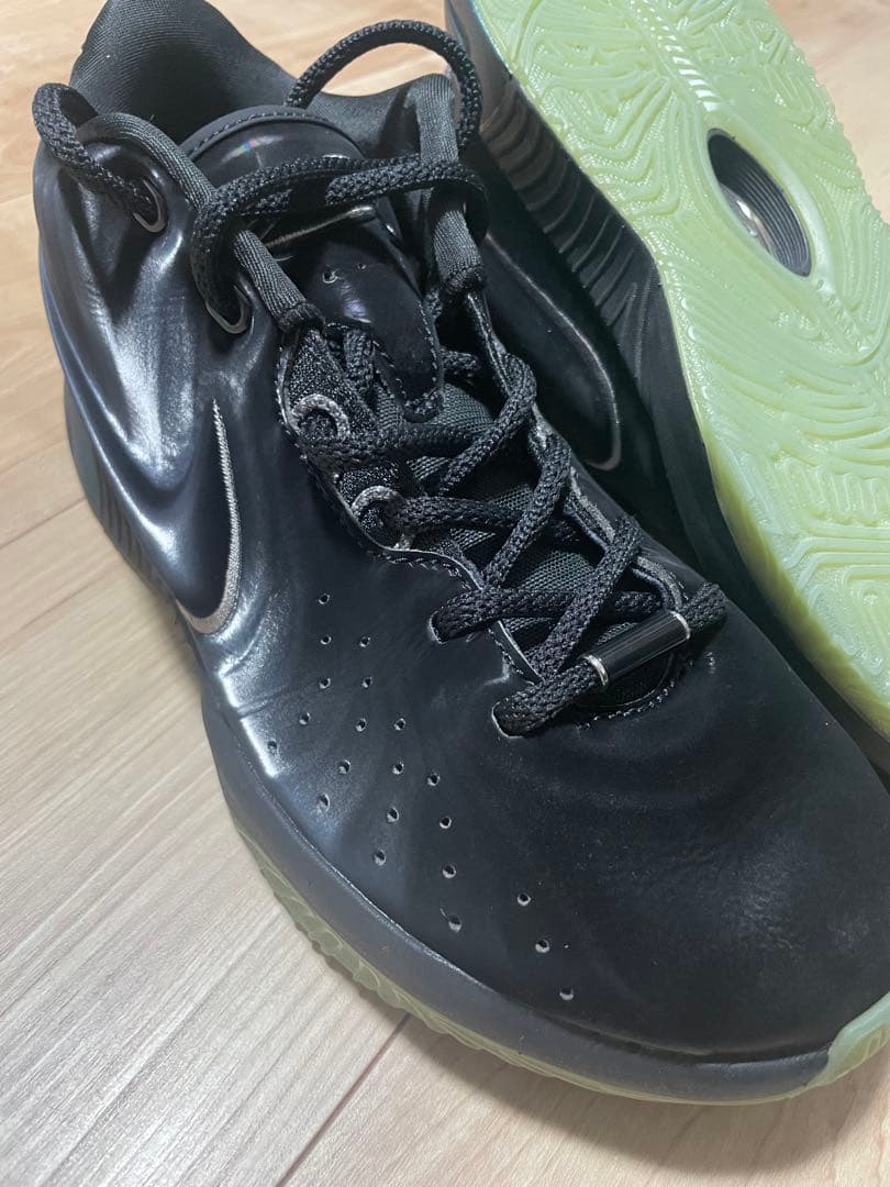 NIKE レブロン21 Tahitian 24.0