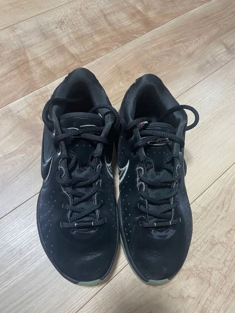 NIKE レブロン21 Tahitian 24.0