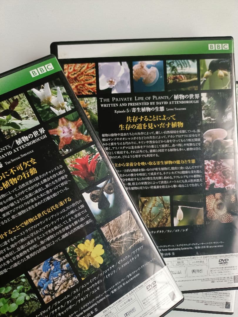 貴重！The Private Life of Plants 日本語吹替有り