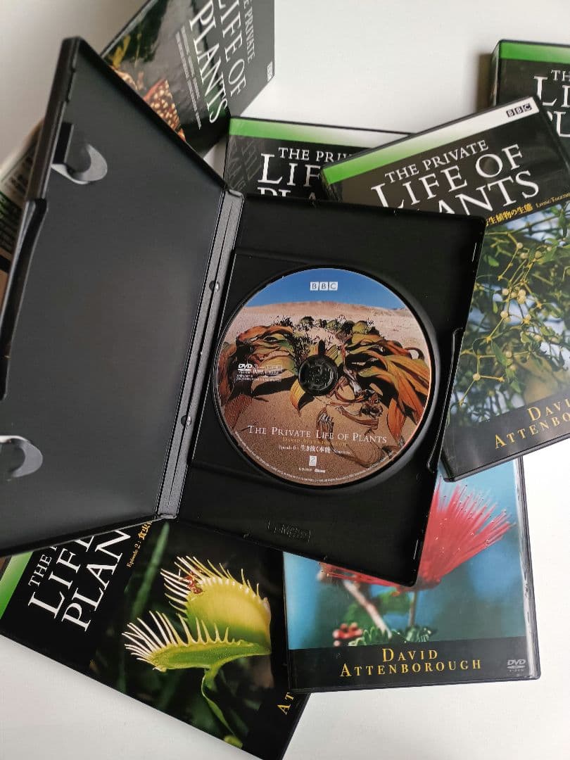 貴重！The Private Life of Plants 日本語吹替有り