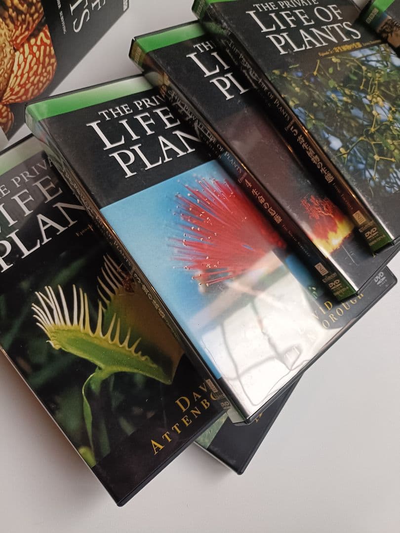 貴重！The Private Life of Plants 日本語吹替有り