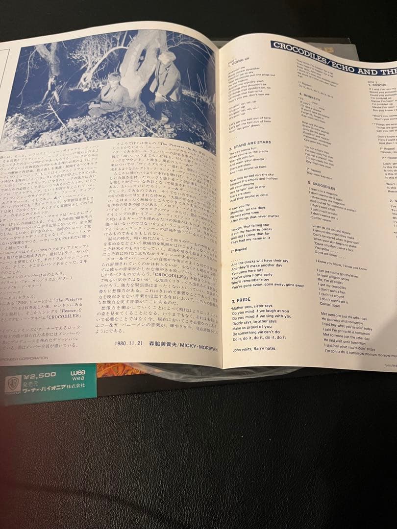 美品　見本盤　ECHO & THE BUNNYMEN/クロコダイルズ　レコード