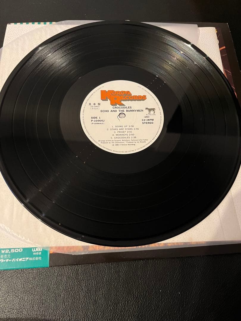 美品　見本盤　ECHO & THE BUNNYMEN/クロコダイルズ　レコード