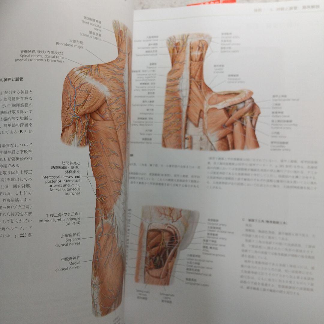 プロメテウス解剖学アトラス 解剖学総論/運動器系　第3版