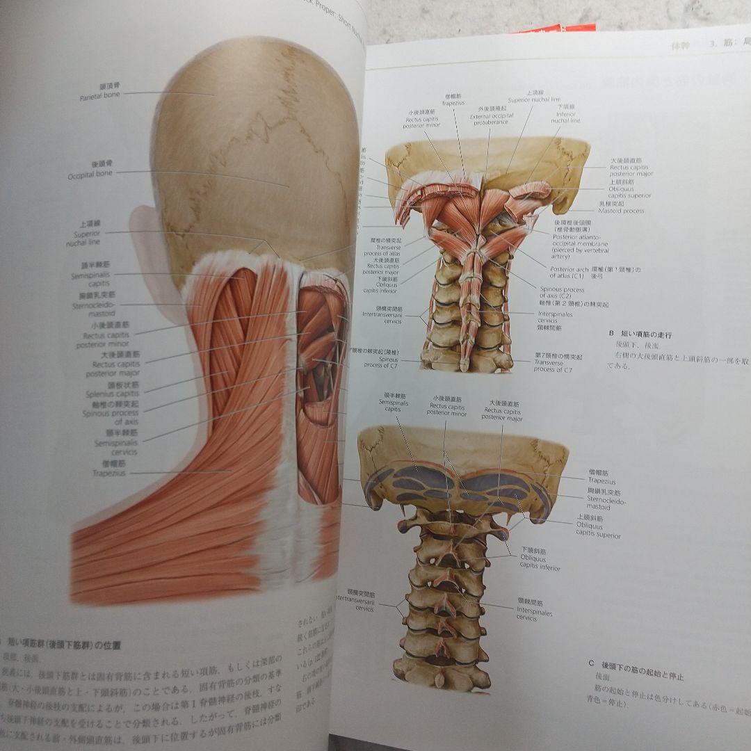 プロメテウス解剖学アトラス 解剖学総論/運動器系　第3版