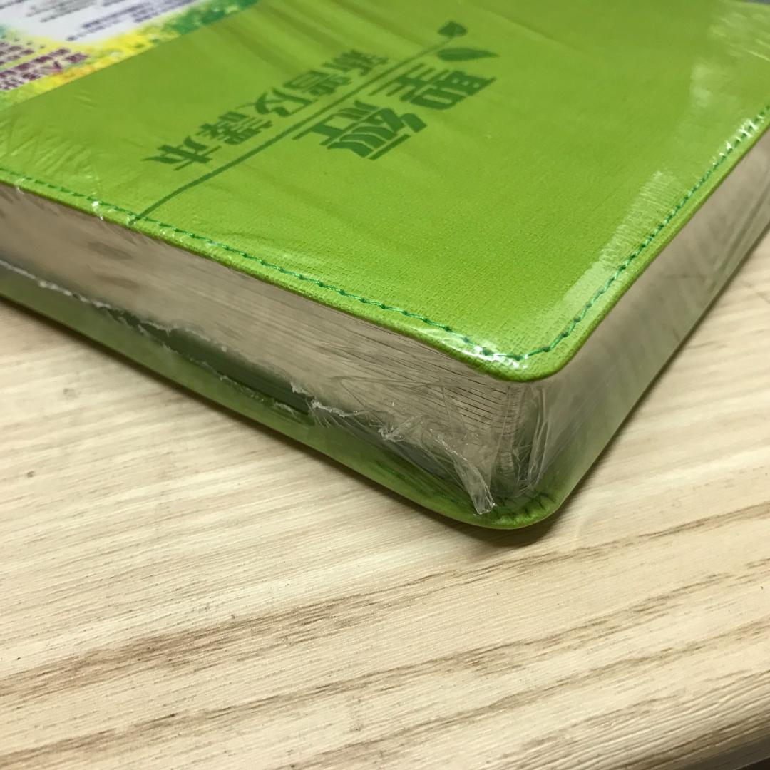 聖經: 新普及譯本 (皮面)/圣经: 新普及译本 (皮面)