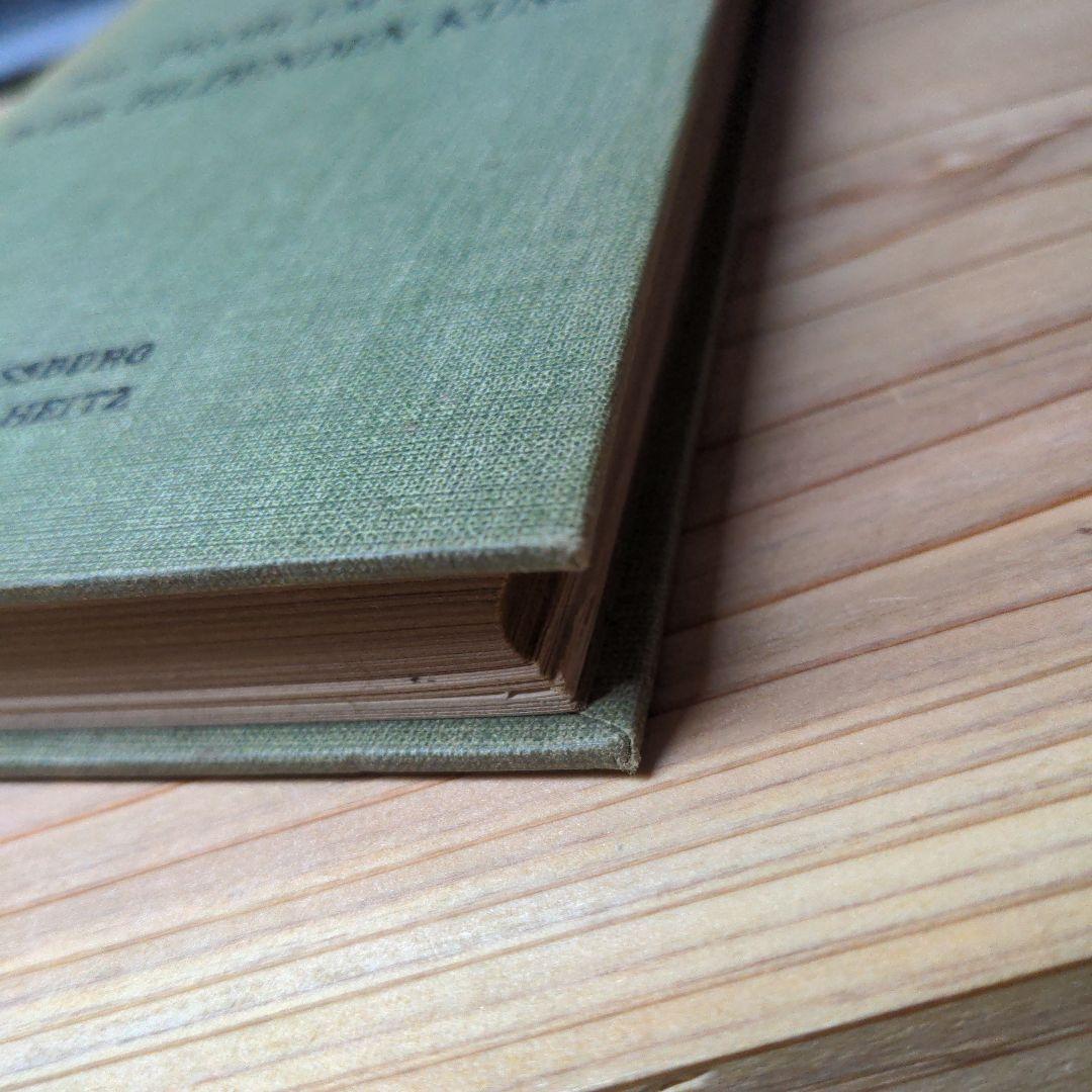 洋書 DasProblem DerForm in Der BildendenKunst