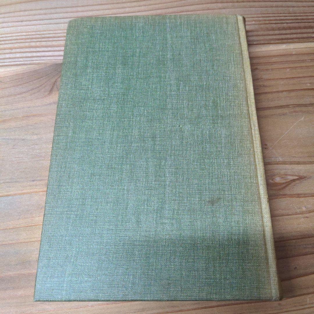 洋書 DasProblem DerForm in Der BildendenKunst