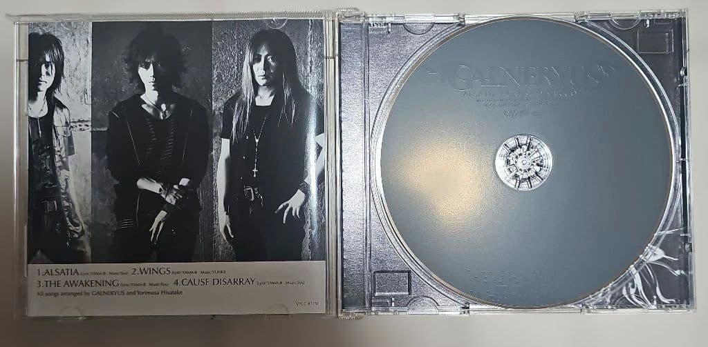 ガルネリウス//CD10枚+DVD3枚セット(ワンオーナー品)