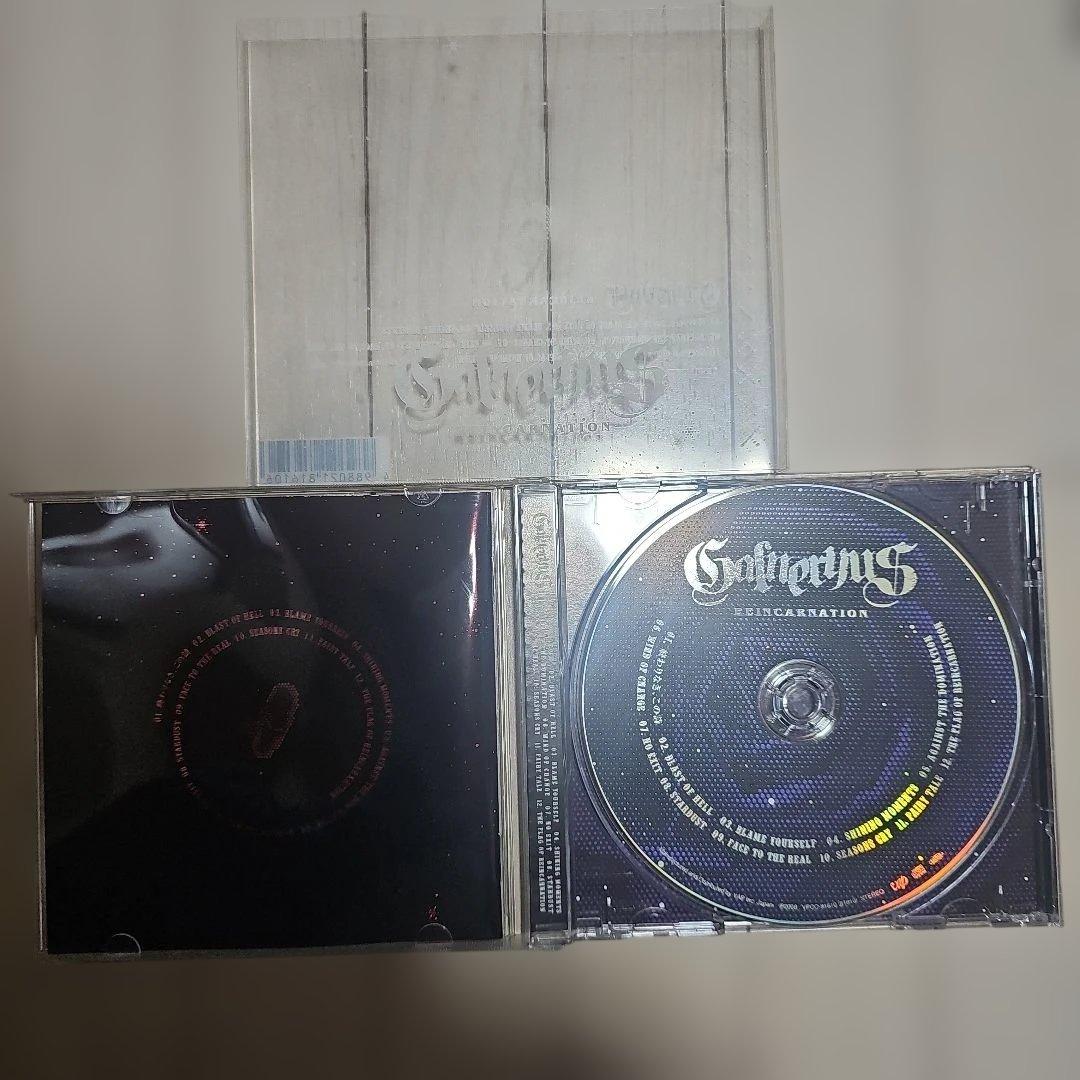 ガルネリウス//CD10枚+DVD3枚セット(ワンオーナー品)