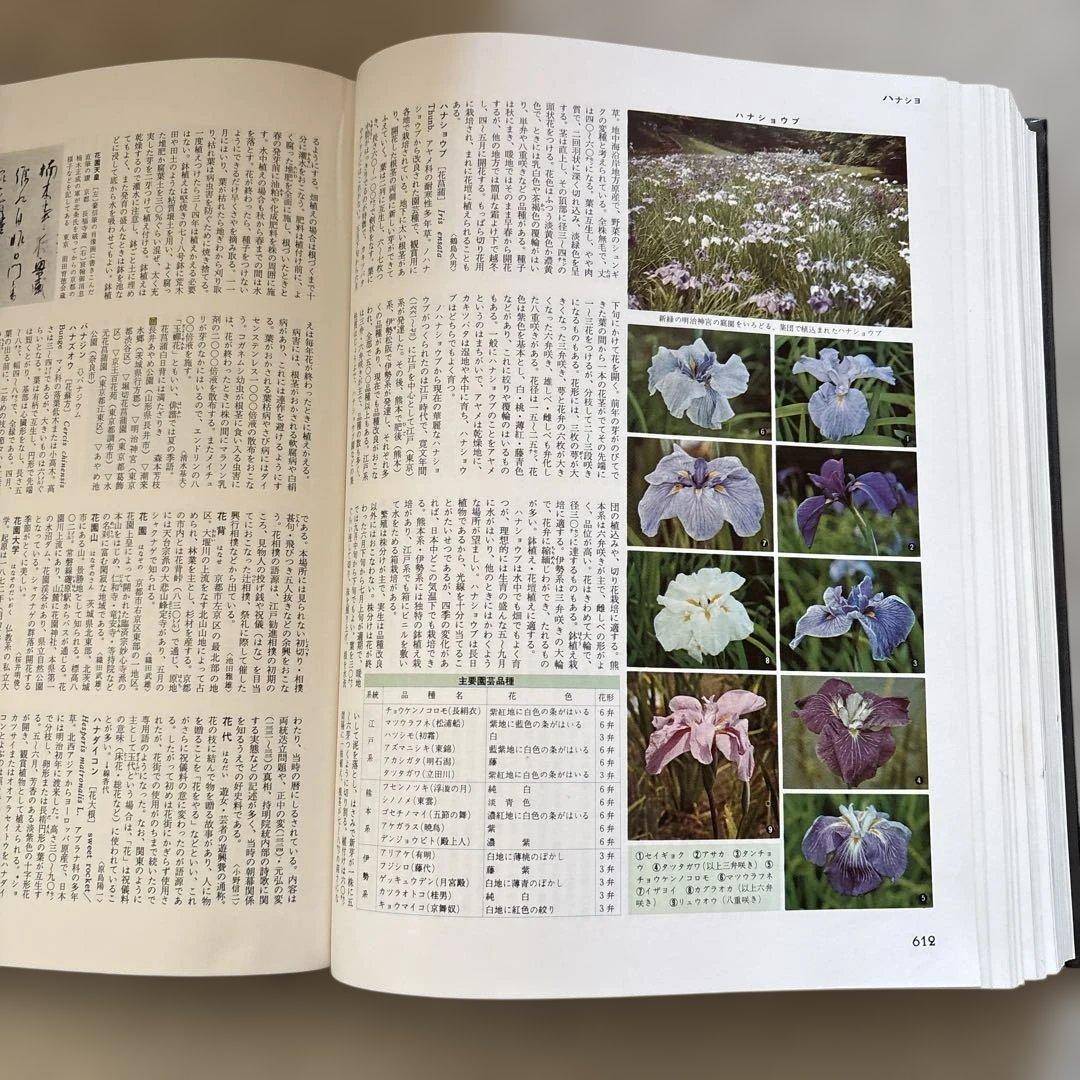 大日本百科事典 全18巻セット＋別巻4冊
