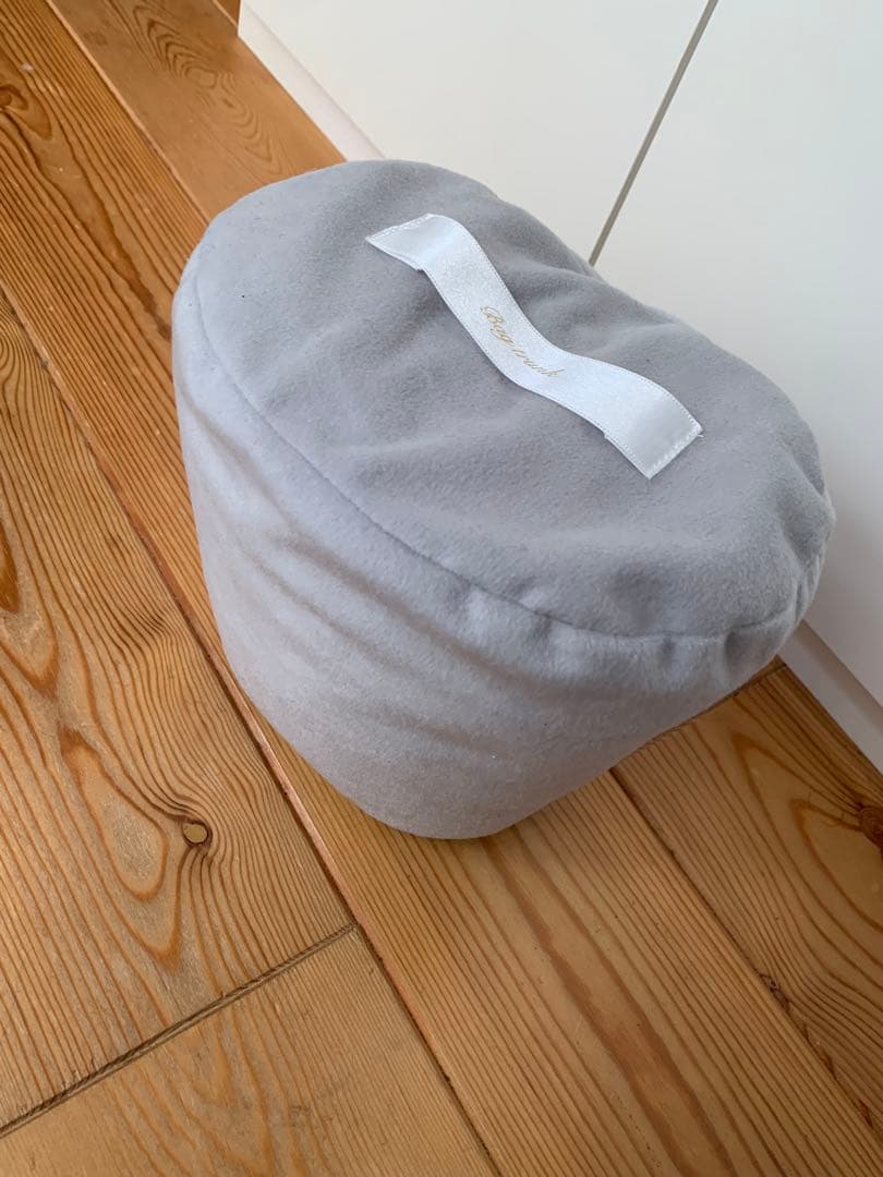 バッグトランク bagtrunk インザループ18用 美品 バッグインバッグ
