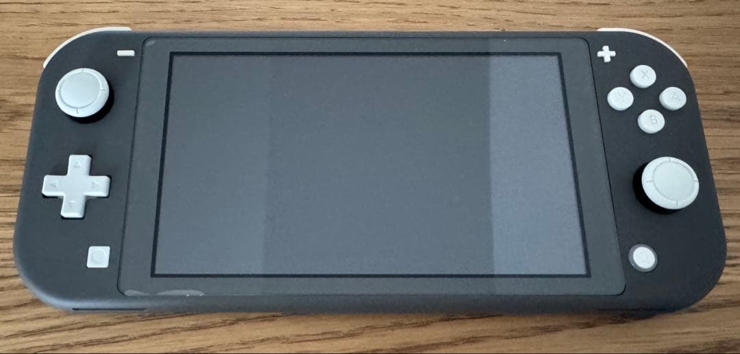 【即日発送】【美品】Nintendo Switch Lite グレー 本体