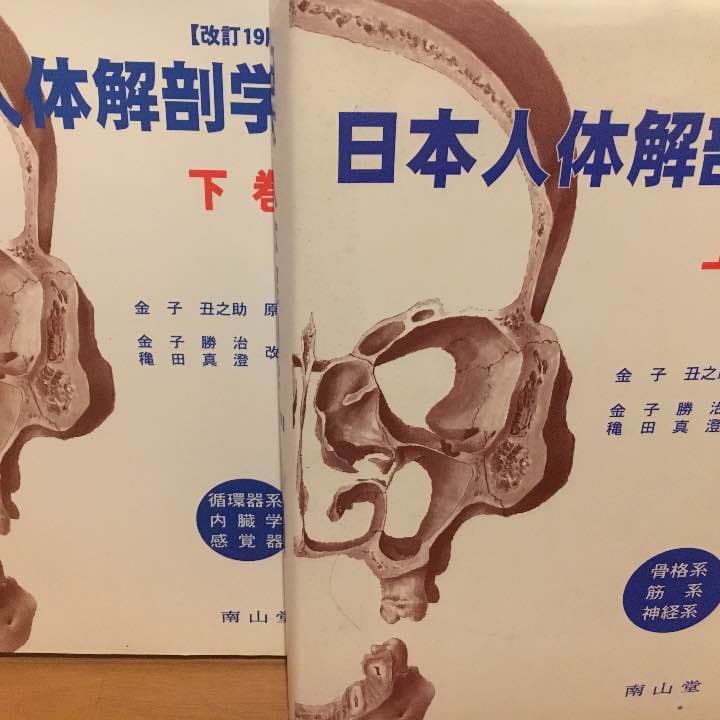 解剖学㊤㊦