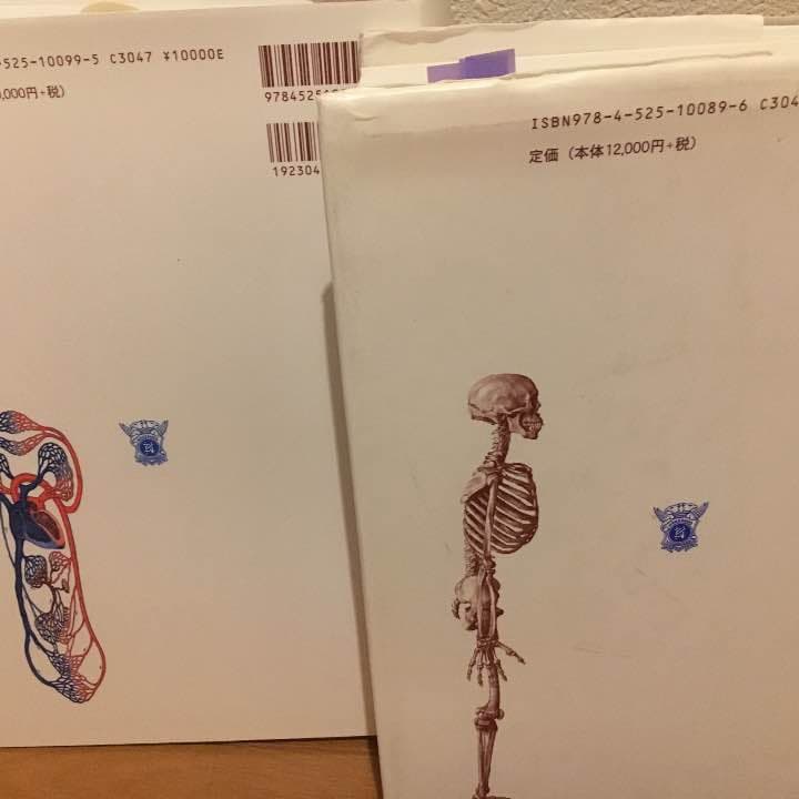 解剖学㊤㊦