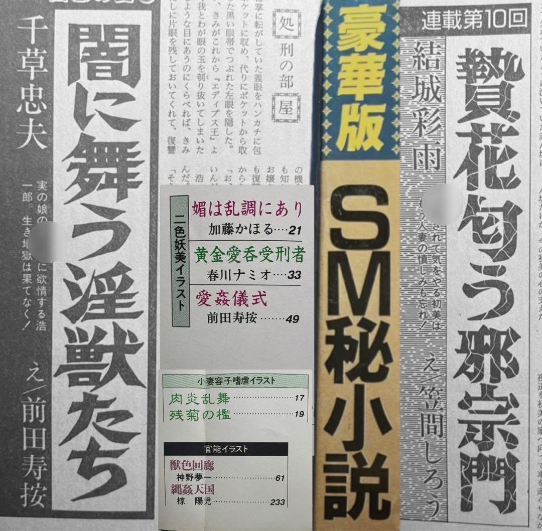 絶版】秘小説94年12月 千草忠夫 結城彩雨 　　　前田寿按 楡畑雄二 椋陽児