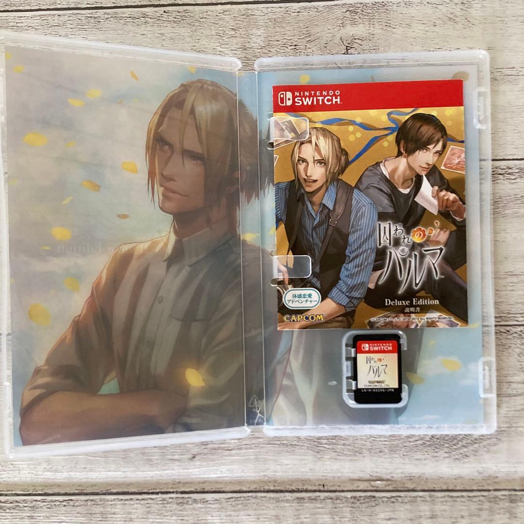 囚われのパルマ デラックス エディション　Switch