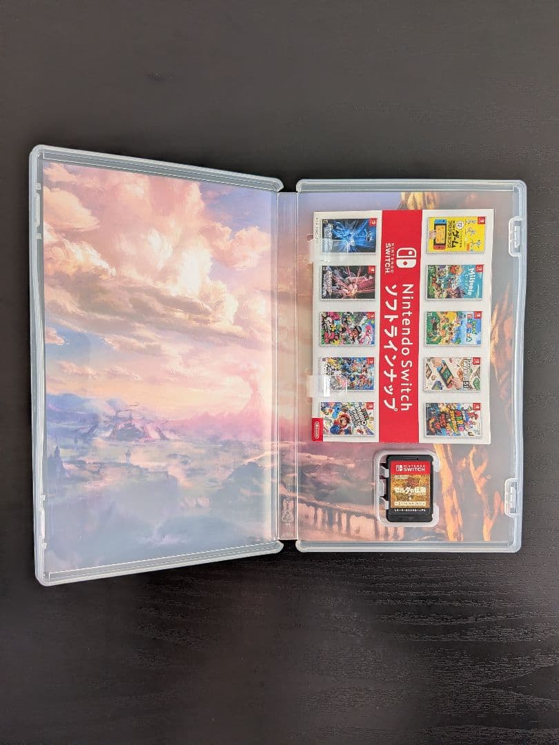 【Switch】ゼルダの伝説 ブレス オブ ザ ワイルド エキスパンション・パス